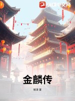 33小说网 金麟传