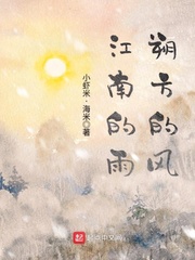 33小说网 江南的雨朔方的风