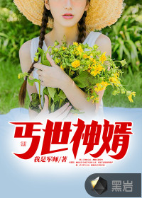 33小说网 丐世神婿