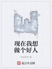 33小说网 现在我想做个好人