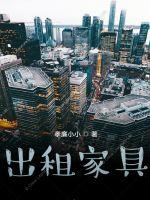 33小说网 出租家具