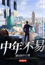 33小说网 中年不易