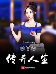 33小说网 美利坚传奇人生