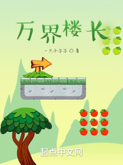 33小说网 万界楼长