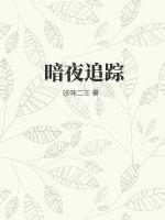 33小说网 暗夜追踪