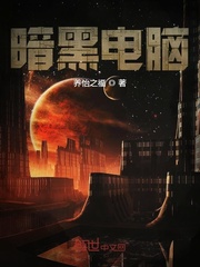 33小说网 暗黑电脑