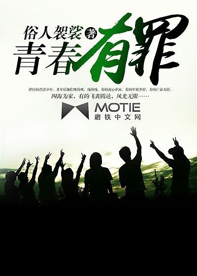 33小说网 青春有罪