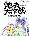 33小说网 炮灰大作战