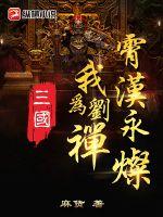 33小说网 三国：我为刘禅，霄汉永灿