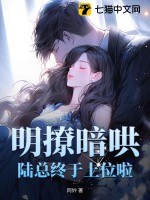 33小说网 明撩暗哄，陆总终于上位啦