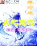 33小说网 木叶之火之意志