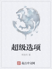 33小说网 超级选项