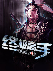 33小说网 终极高手