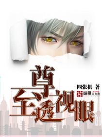 33小说网 至尊透视眼