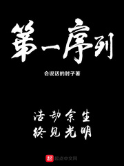 33小说网 第一序列