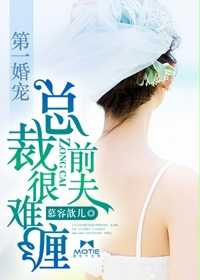 33小说网 第一婚宠：总裁前夫很难缠