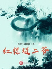 33小说网 红楼琏二爷