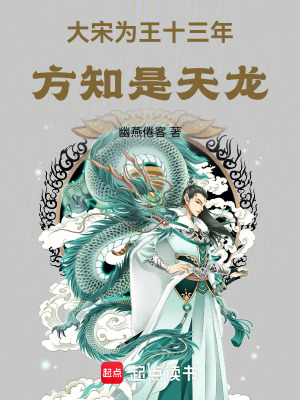 33小说网 大宋为王十三年，方知是天龙