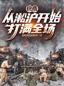 33小说网 抗战：从淞沪开始打满全场