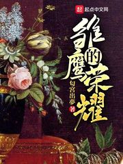 33小说网 雏鹰的荣耀