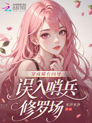 33小说网 穿成稀有向导，误入哨兵修罗场