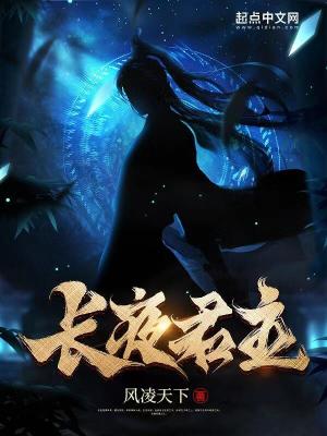 33小说网 长夜君主