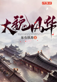 33小说网 大魏风华