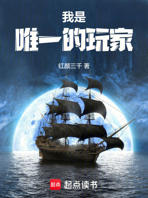 33小说网 我是唯一的玩家