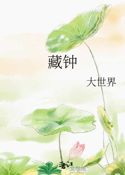 33小说网 藏钟