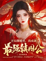 33小说网 开局撕婚书，我成就最强镇国公！