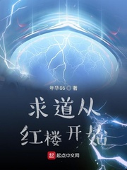 33小说网 求道从红楼开始